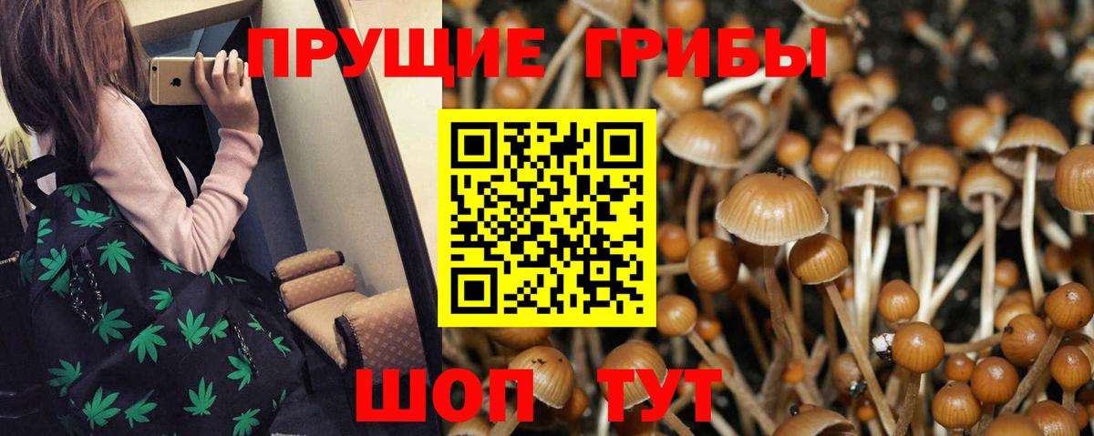 Галлюциногенные грибы Magic Shrooms Валуйки